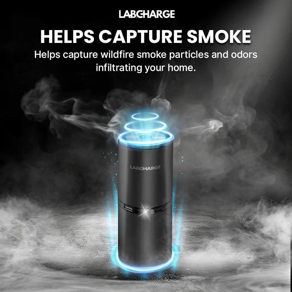 veraela™air purifier