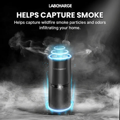 veraela™air purifier