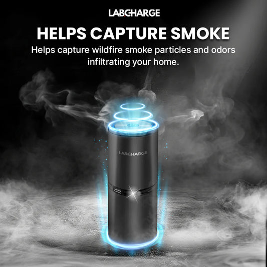 veraela™air purifier