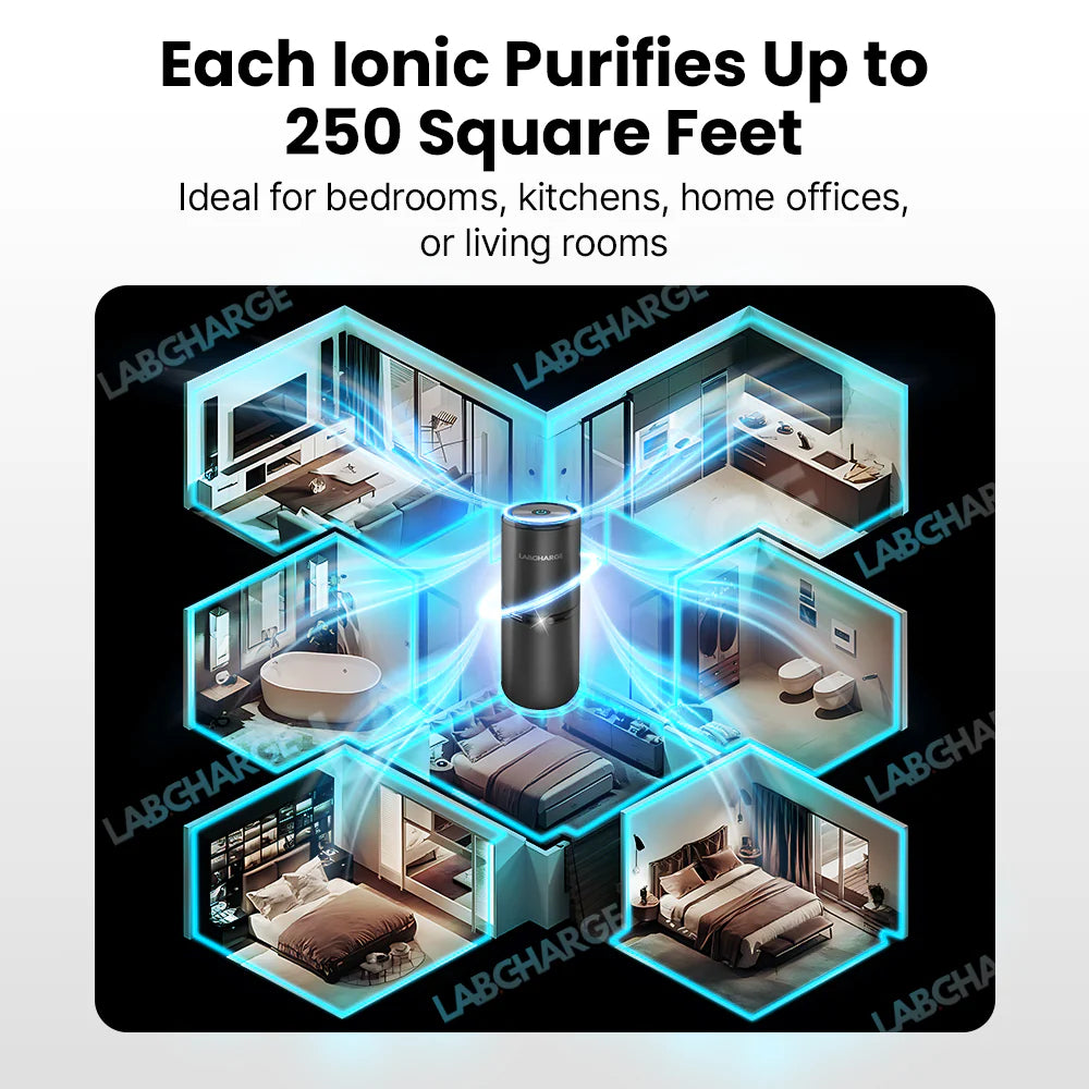 veraela™air purifier